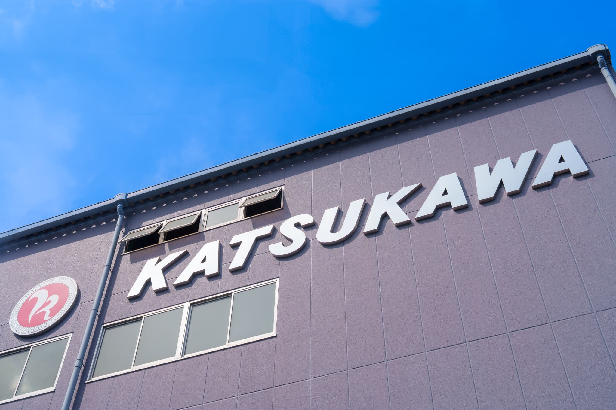 About the Company